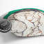 Square Cushion-62454913-62454916