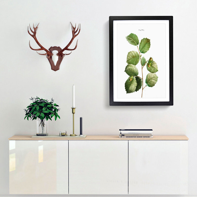Hazelnut Tree Branch by Pierre-Joseph Redoute - Picture Frame Painting Print, 36cm H x 27cm W x 2cm D, Black Framed