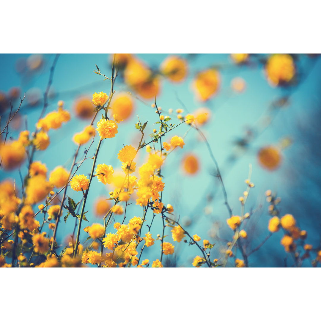 Frühlingsblumen von Borut Trdina - Ohne Rahmen auf Leinwand