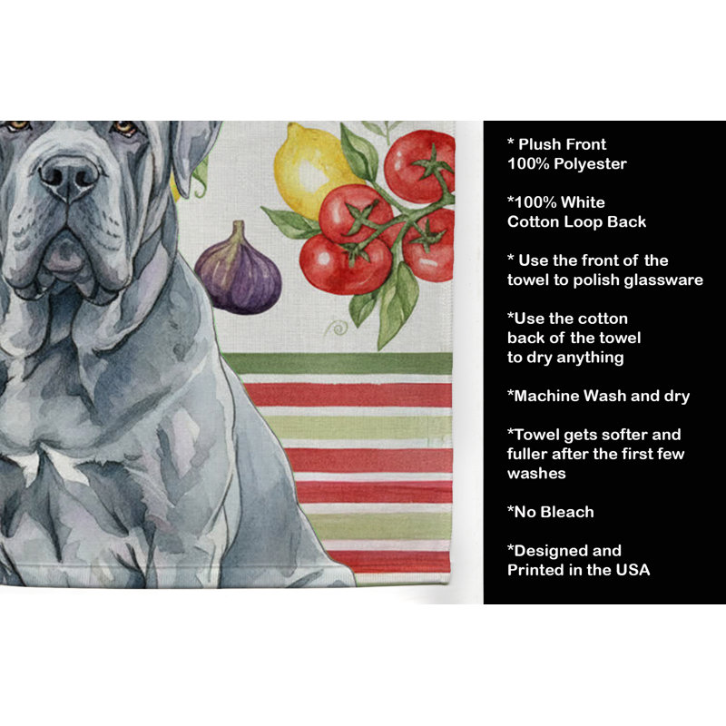 Torchon bleu napolitain, Mastiff napolitain bleu