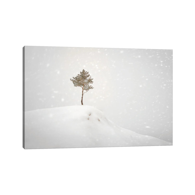 Winter Tree On The Hill by Nik Rave - Wrapped Canvas Gallery-Wrapped Canvas Giclée, 30.48 cm H x 45.72 cm W
