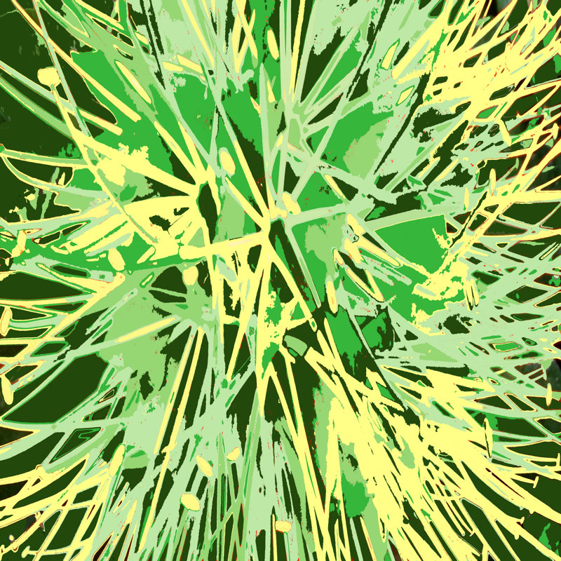 «Ferryhill Rosie Brown Nature Sparkler» par Rosie Brown, reproduction sur toile tendue, H 12 po x l 12 po, Non, Toile tendue