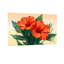 Plantes et fleurs d'hibiscus orange vif avec feuilles vertes-365982399-365982396-365982393