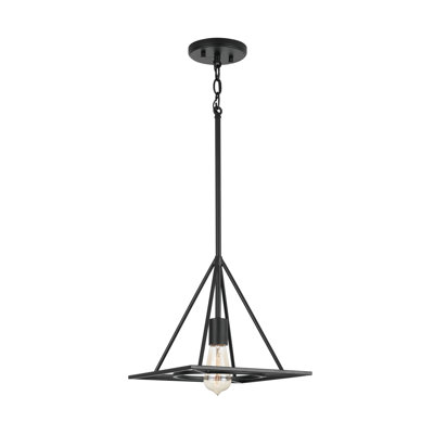 1 - Light Matte Black Single Pendant