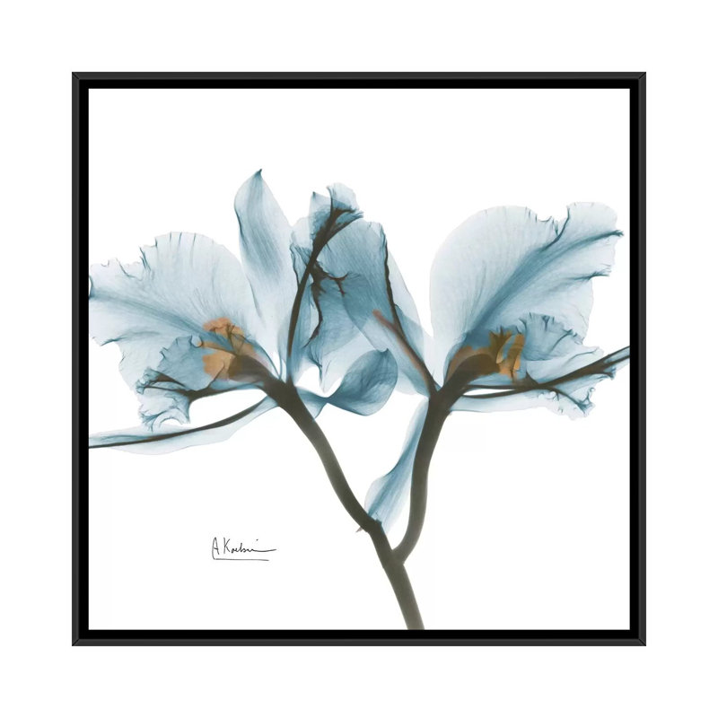 «Orchid», reproduction d'impression sur toile, H 18 po x l 18 po x P 1,5 po, Toile avec cadre noir, Pas de tapis