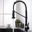 Robinet escamotable avec douchette en laiton Modern Elegance Kitchen Essential