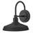 Hinkley Forge Medium Wall Mount Barn Light-129515867-129515873
