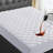 Arcuri 2'' Mattress Pad-1951631183