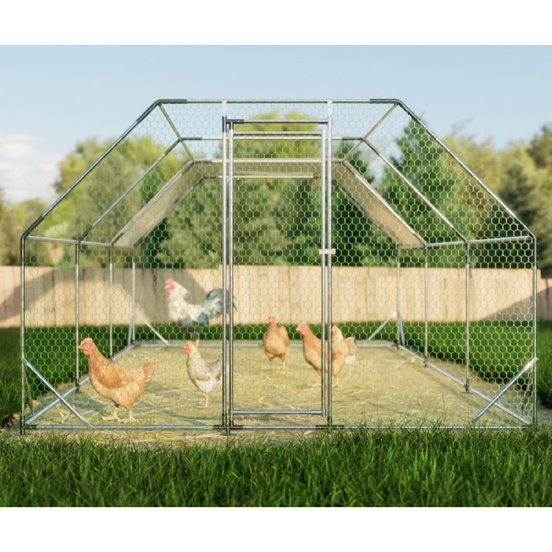 Grande cage de poulailler en poulailler, H 76,32 po x l 230,64 po x P 119,28 po