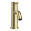 Robinet de lavabo à poignée simple Camile avec ensemble de bonde inclus-74067125