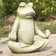 Frog Sitting in Lotus Posture Statue