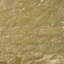 4" x 8" Authentic SeaShell Listello/Border Tile in Abalone Pearl