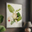 Magnolia Flowers II Framed Print - Solid Wood-1949478870