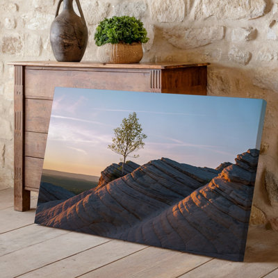 Canvas A Solitary Tree Stands Prominently Atop A Series Of Smooth Wall Art Undulating Rock Formations Bathed In Soft Warm Light From A Canvas Wall Art