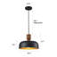 1 - Light Pendant