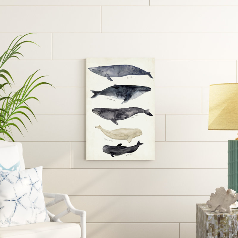 " Whale Chart II " by Victoria Barnes Painting Print, 30" H x 20" W