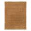 Area Rug in Brown