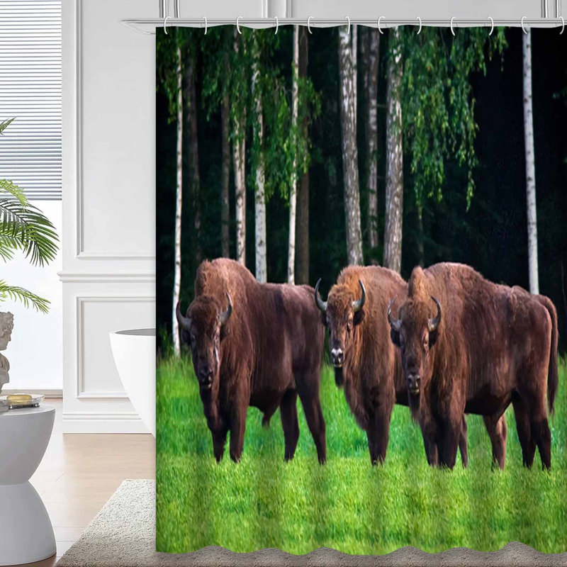 Green Meadow Forest National Park Buffalo Shower Curtain with 12 Hooks, L 72 po x l 84 po