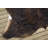 Cowhide Indoor Rug