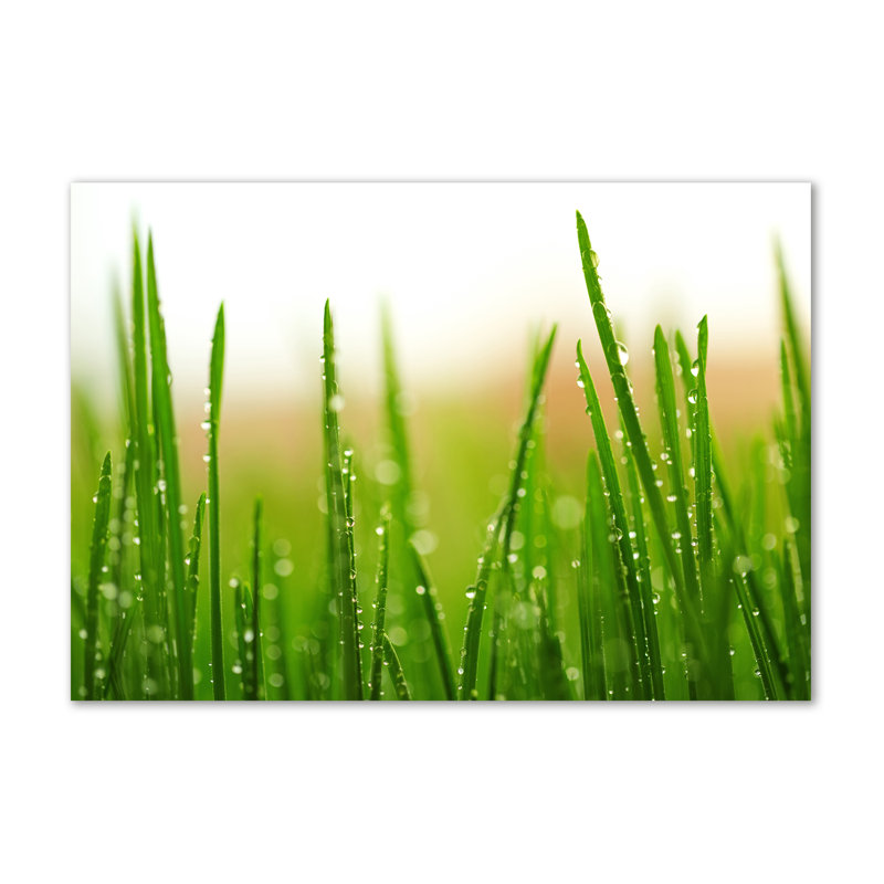 Grass - No Frame Print on Canvas