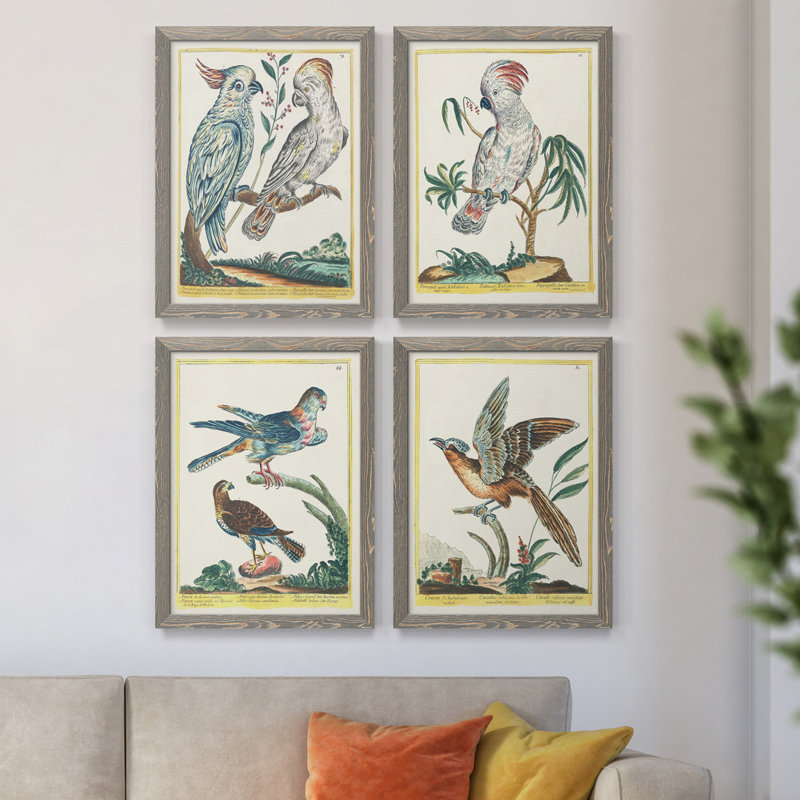 «Pastel Birds I», toile encadrée de qualité supérieure - prête à être accrochée, H 31,5 po x l 47 po x P 1,5 po, gris