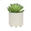 Ensemble de pots à fleurs en céramique avec motifs distinctifs pour un décor élégant