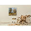 Center Path by John Beard - Gallery Canvas Print-204290439-204290434