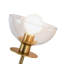 Delisa 2 Light Transparent Vanity Light-1341768696