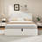 Raania Hydraulic Lift Up Storage  Upholstered Wingback Bed -457524859-457524857