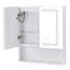 600mm W 700mm H Wall Mounted Required Frameless Medicine Cabinet Mirror Fixed