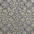 Chicory