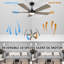 Billylee 52'' Ceiling Fan with LED Lights