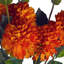 Artificial Arrangement-106401554