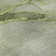Premium Machine Washable Cerrito AMF508 Olive Rug