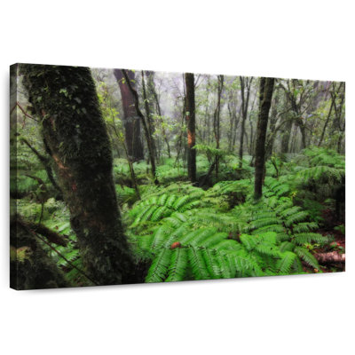 Alvord La Tigra Forest