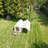 Camping Tents-111122202
