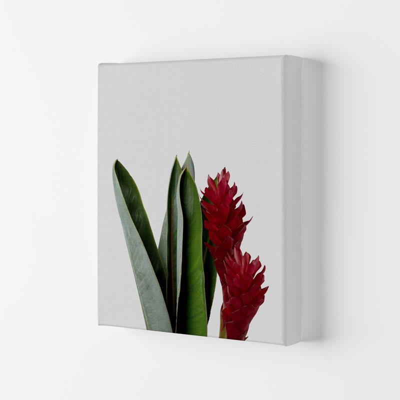 Red Flower - Print, Wrapped Canvas, 84.1cm H x 59.4cm W x 4cm D