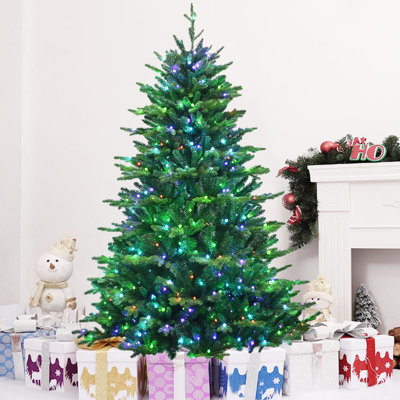 72' Lighted Fir Christmas Tree