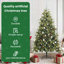 Christmas Tree-1052392530