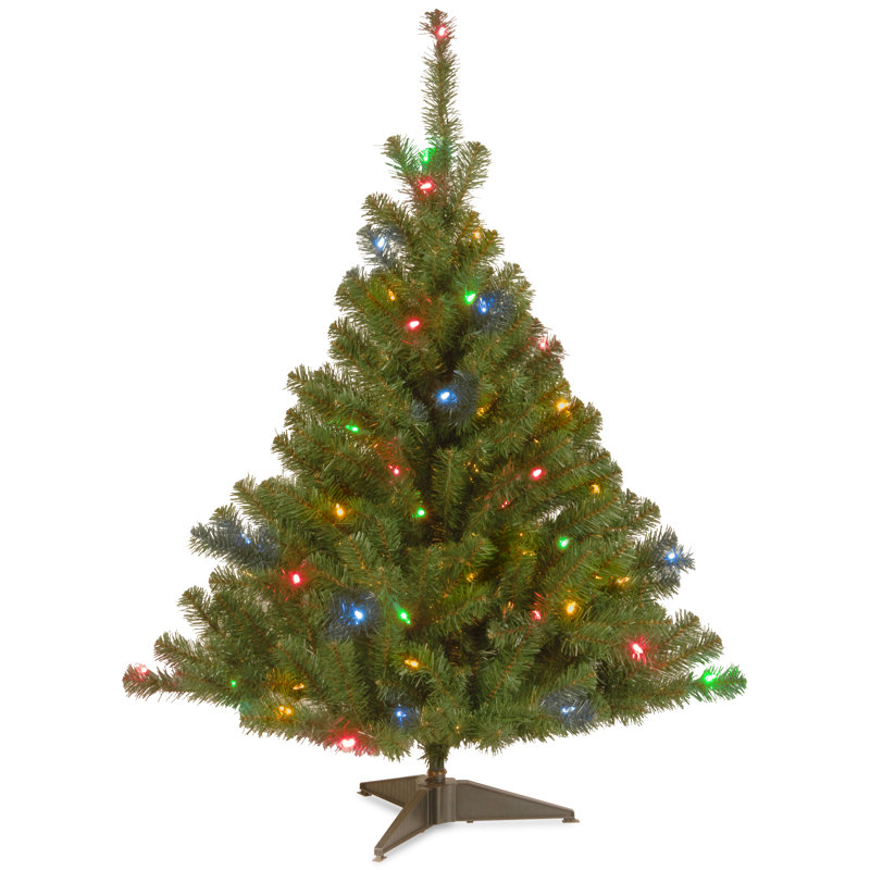 4ft. Kincaid Spruce Tree, Multi-Colored Lights