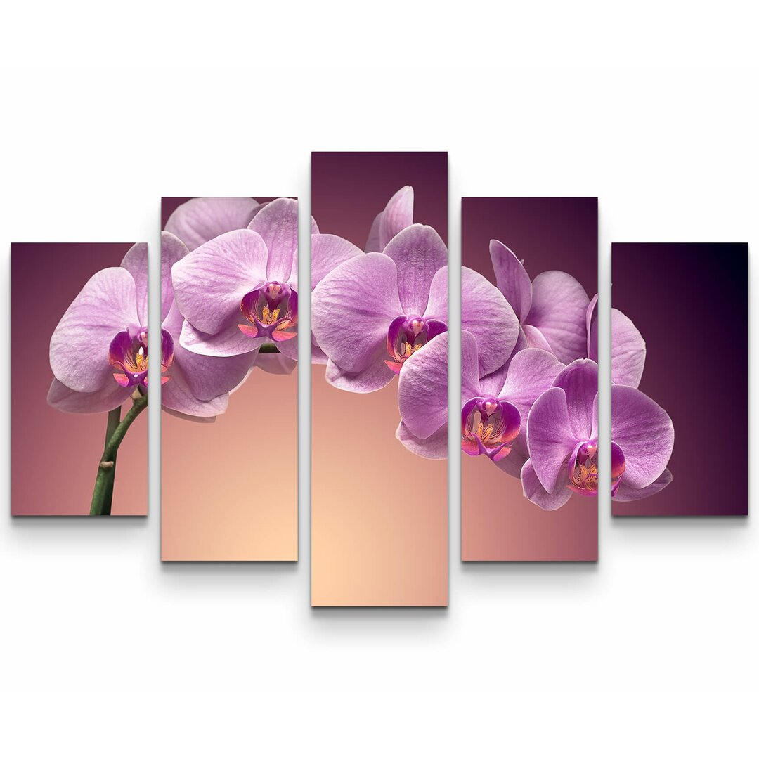 5-tlg. Leinwandbilder-Set Rosa Orchideenrispe