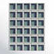 Kamran Indoor/Outdoor Rug