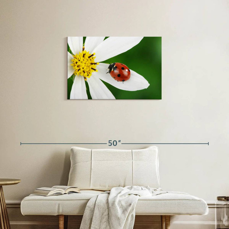 Brampt Ladybug On White Flower, 20" H x 30" W