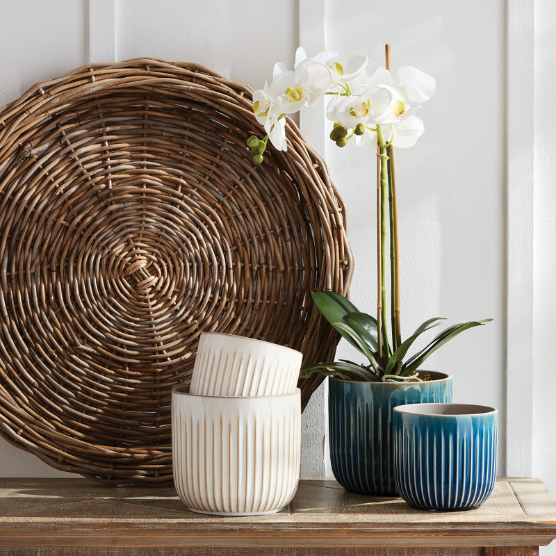 Round Trays