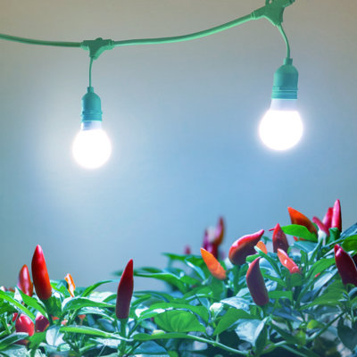 Miracle LED Full Pepper Grow Light Kit (Fruits / Vegetables)