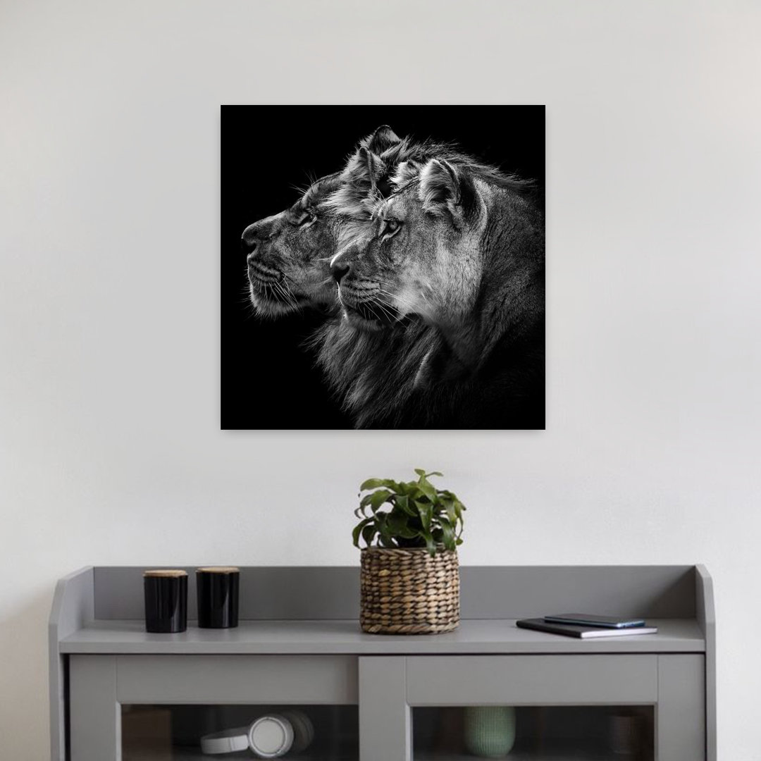 Lion and lioness portrait Romantic Contemporary Lion Nature Wildlife Wall Art Print