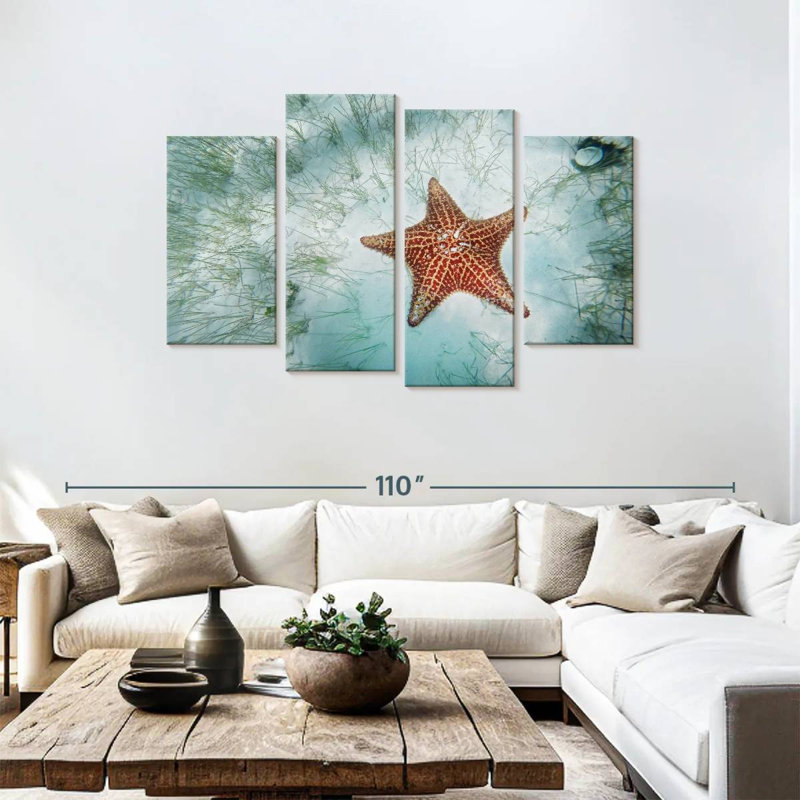 Étoile de mer peu profonde, H 48 po x l 75 po