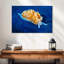 Nudibranche rougeoyant Crowle-111881641