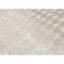 Area Rug in Beige-106951096