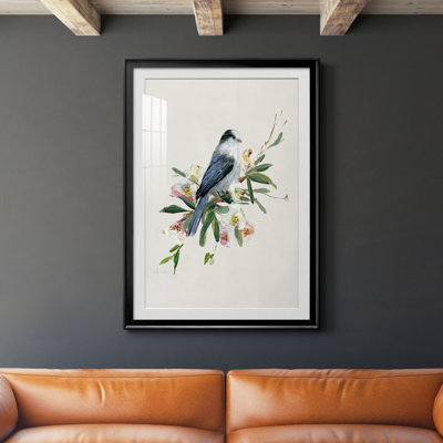 Spring Spring Gray Jay - peinture encadrée